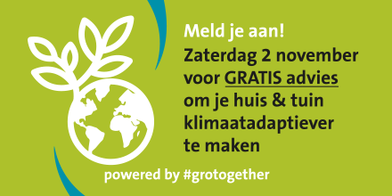 GRATIS #advies om je huis &amp; tuin #klimaatadaptiever  te maken? Ga morgen op speeddate tijdens de #drogevoetenmarkt (en #WIN een regenton!)! Aanmelden: letsgro.nl/event/droge-vo…