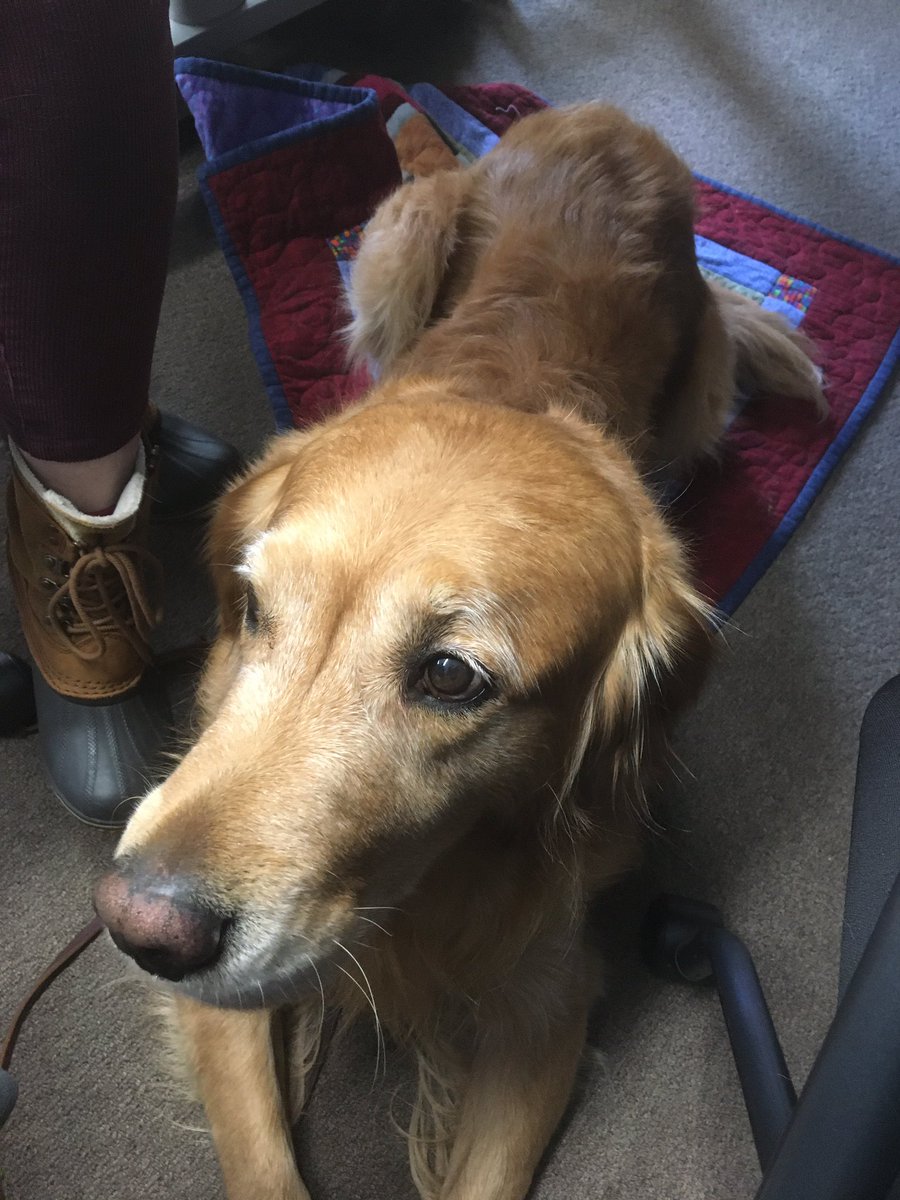 HerrickAP's tweet photo. Visitor at principal meeting today @MsReadPrincipal https://t.co/f3lCqCWb8d