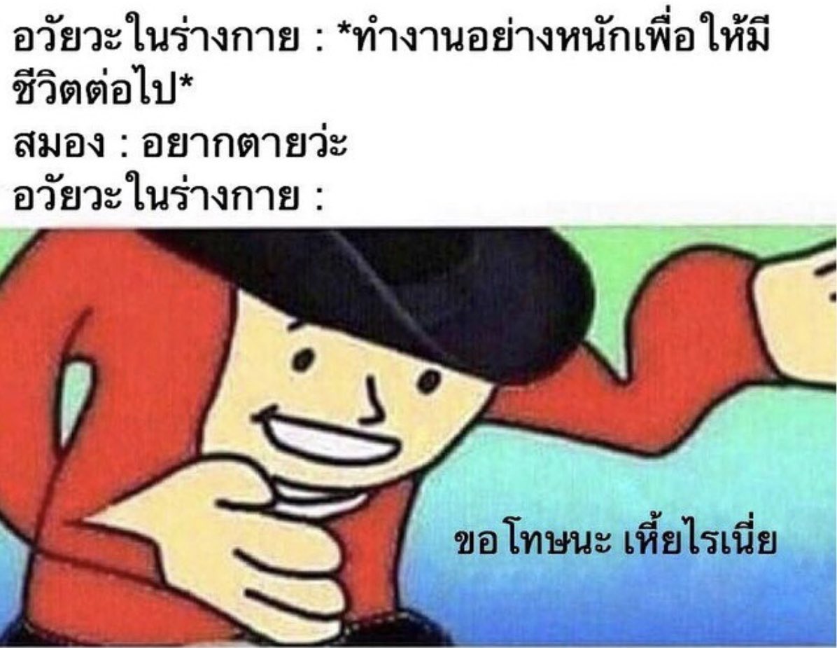 🌈 ʙᴇᴀᴜᴛɪғᴜʟ sᴜɴsʜɪɴᴇ ꯁ.̮ꯁ🍋 tweet media