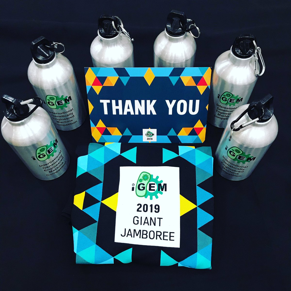 Many thanks <a href="/iGEM/">iGEM Headquarters</a> for these gifts ! 💫😊