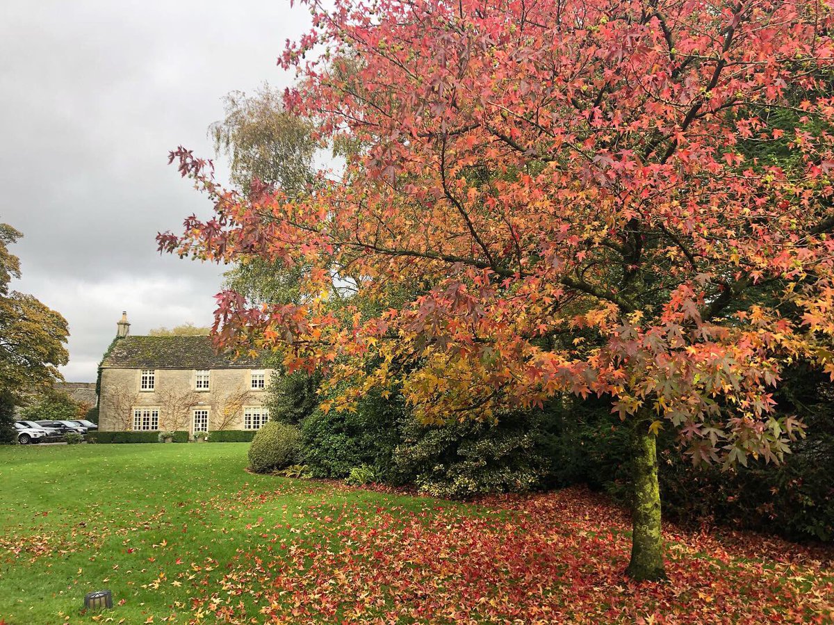 Calcot_and_Spa's tweet photo. Awesome autumn around the grounds ๐ ๐ Stick on some wellies and stride out? You could still be back in time for tea ๐ง
https://t.co/55lHZBYsRb
#CalcotLife #Cotswolds #Hotels @pobhotels https://t.co/D9UdK4wm3Z