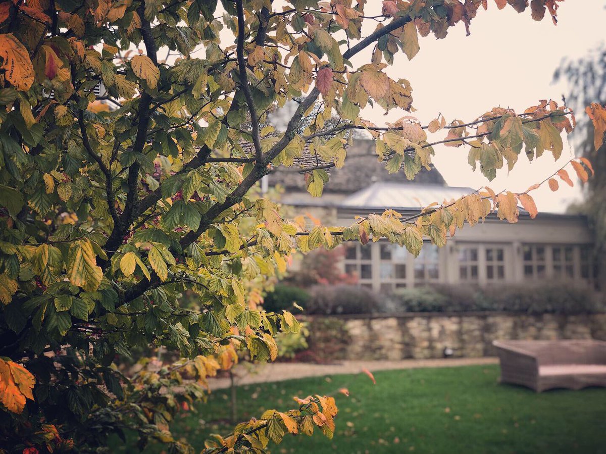 Calcot_and_Spa's tweet photo. Awesome autumn around the grounds ๐ ๐ Stick on some wellies and stride out? You could still be back in time for tea ๐ง
https://t.co/55lHZBYsRb
#CalcotLife #Cotswolds #Hotels @pobhotels https://t.co/D9UdK4wm3Z