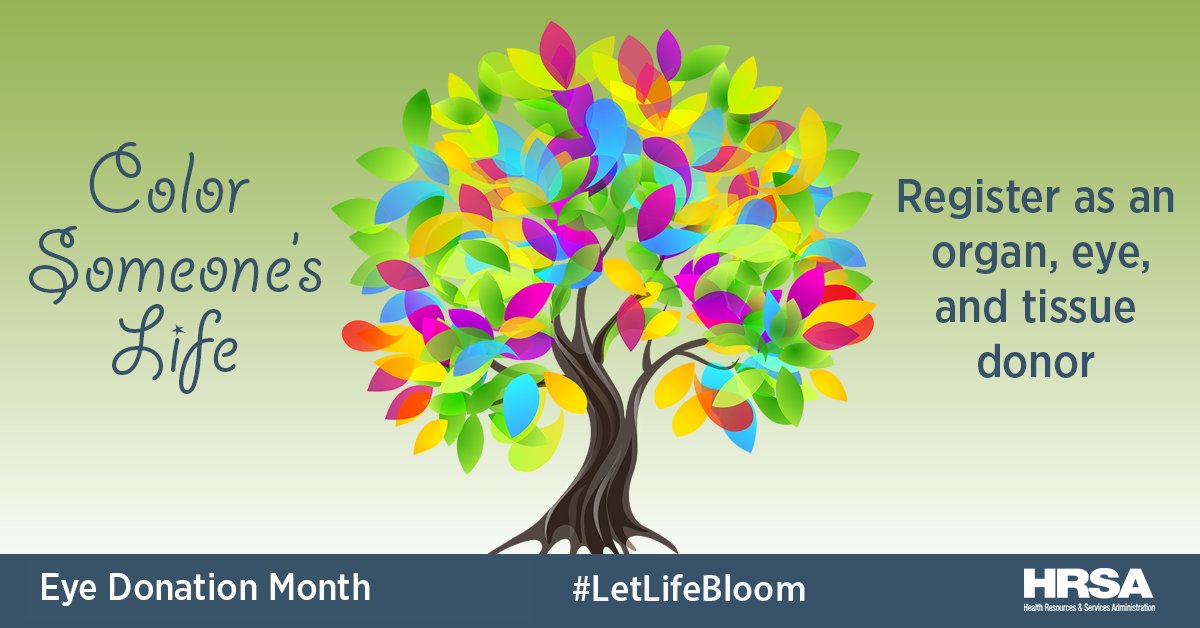 ASTSChimera's tweet photo. Did you know that November is #EyeDonationMonth? Learn more about cornea donation by going to https://t.co/IwBzpmIVKG or https://t.co/nE5z850Hz7 and pass on the gift of sight by registering to become a donor at https://t.co/AZCls3s6mv. #LetLifeBloom https://t.co/vvMTI4psU0
