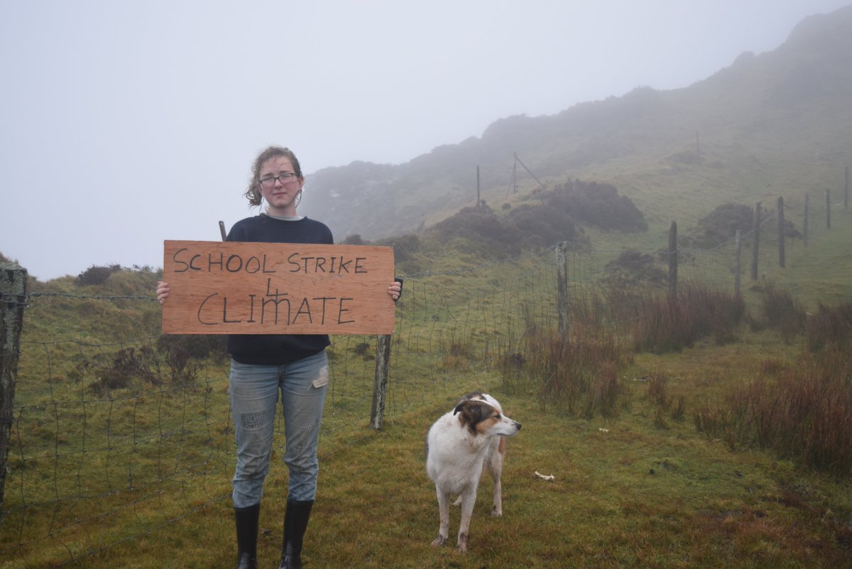 theocmouze's tweet photo. #ClimateStrike today.  Couldn't make it to the local Council office like usual, so instead we went for a walk to the cliffs in the fog. We should all spend more time in nature, are surrounded by such beauty.
Also we have a new striker, meet Stella, #DogsForFuture! @GretaThunberg https://t.co/7NXUz1SMdX