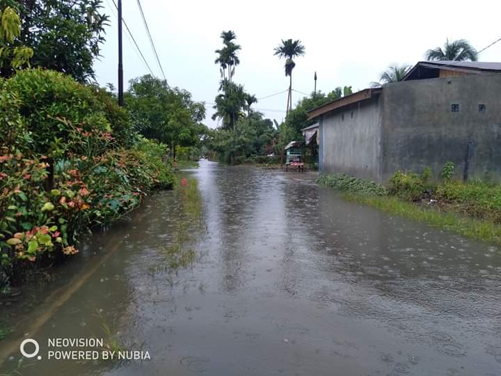 MoelPiliang's tweet photo. Kalo sdh di tekan hujan seharian penuh, banjir pun menghantui warga Kp Keruni Stabat, jalanpun bak kubangan kerbau, 8 kali kami masukan di Musrenbang hlg tak berbekas. Smg nanti politisi PDI-P di DPRD Langkat, bung @pimantaginting mampu memperjuangkan PENGASPALAN JALAN INI 🤝 https://t.co/wkuivA6T43