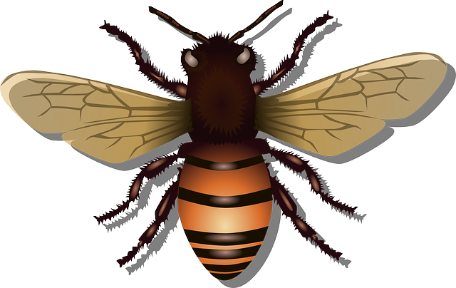 thebeekeeperman's tweet photo. How I wish a lot of folks would get into beekeeping simply because it has a lot of benefits for us... #beekeepin... https://t.co/4fg01bOJAY