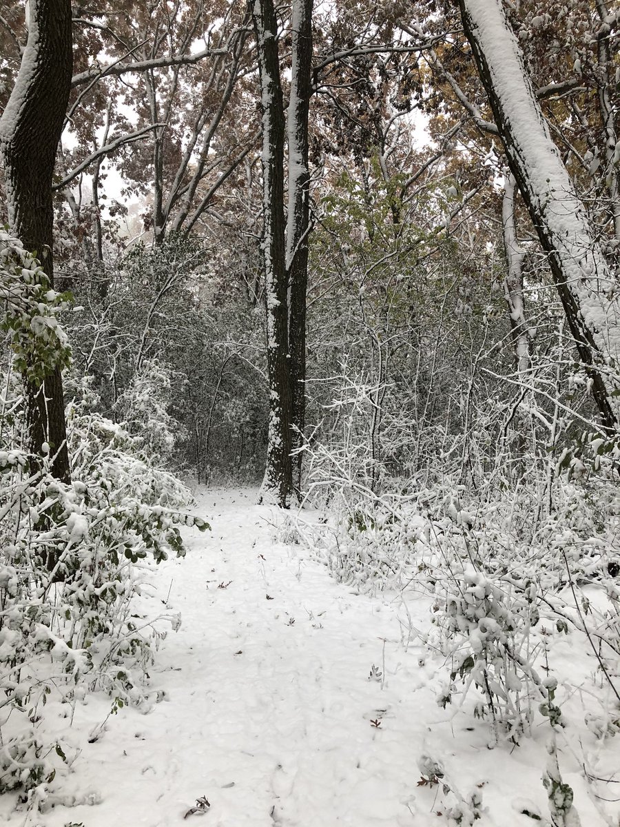 What a great way to start our PD day with a mindfulness hike in the Summit View woods. #Mindfulness <a href="/SdwView/">Summit View School</a> <a href="/cbrooksabc/">catherine brooks</a> <a href="/MrSheskeyReads/">Garrett Sheskey</a>