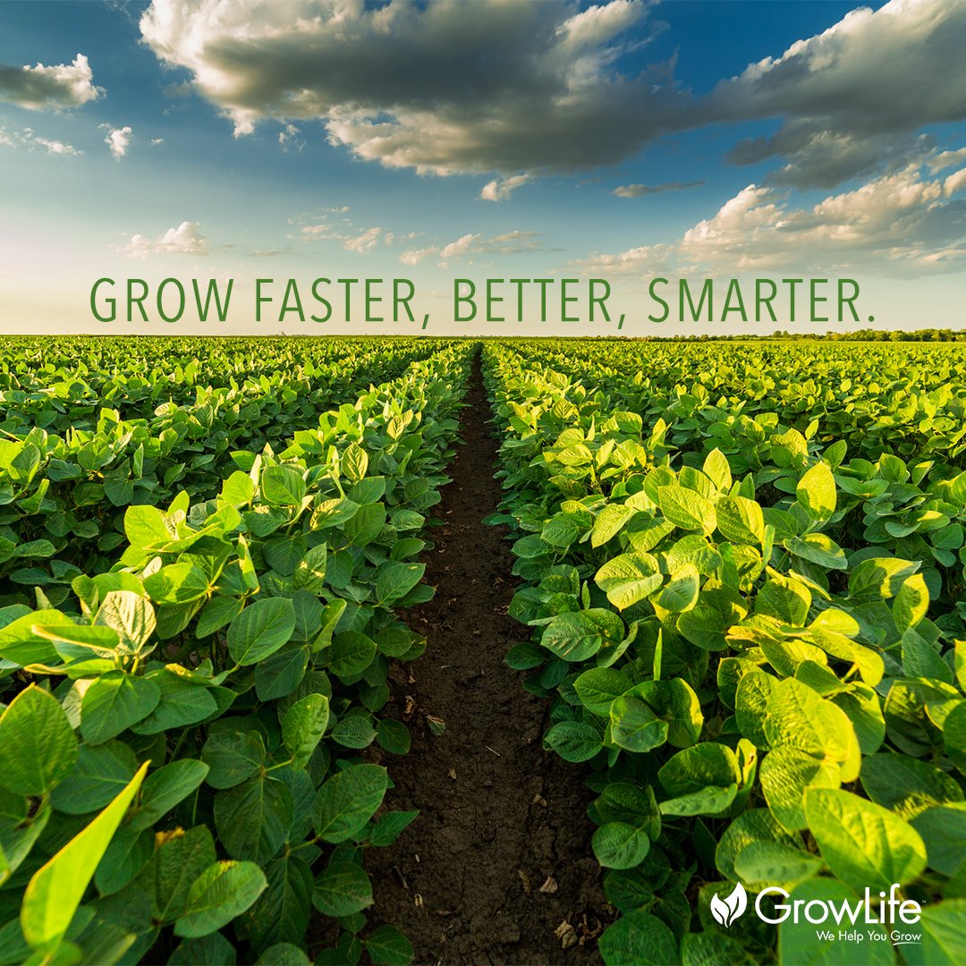 Our EZ-Clone systems are meant to make your life easier. Start cloning today and thank yourself tomorrow. 🌱

#ezclone #growlife #clone #aeroponic #hydroponics #hydroponic