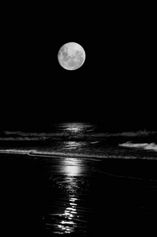 TheKeannEffect's tweet photo. Luna. Moon. Chandra. Buwan. Lune. Mond. Tsuki. Dahl. Hold. 

You are the most Beautiful, in any Language.

#Moon #Luna #Buwan https://t.co/wbRN2Oys8w