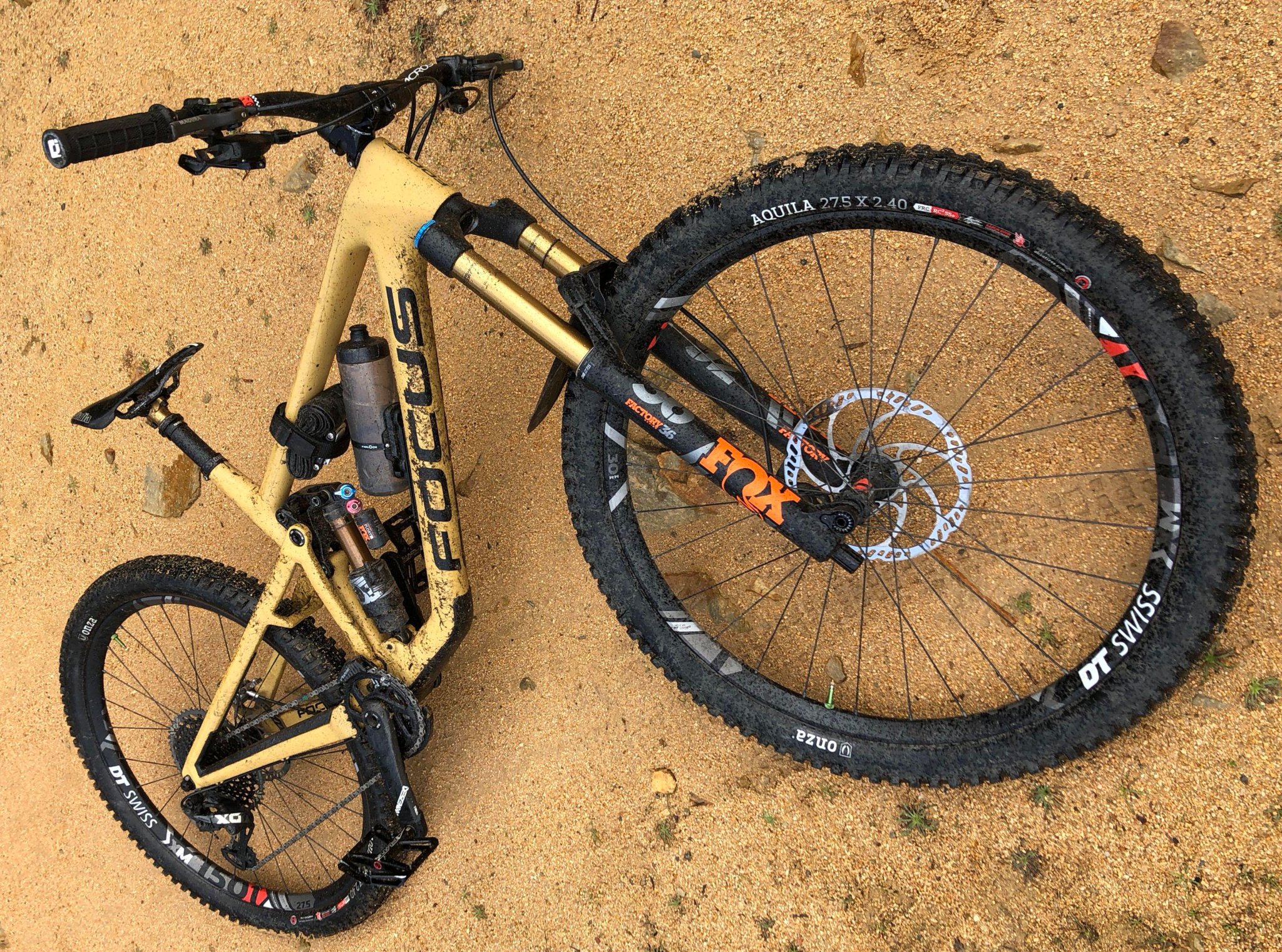 Focus sam 27.5 sale