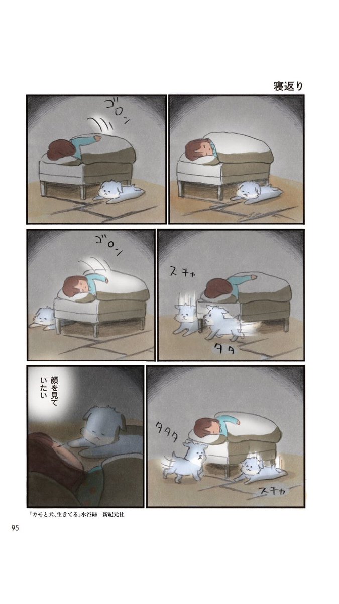 犬の思い出 #犬の日 