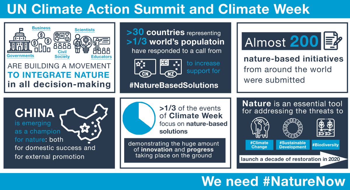 IPBES's tweet photo. More than a 1/3 of the events of #ClimateWeek2019 were focused on #NatureBasedSolutions🌿
Countries are waking up to nature’s potential with new initiatives, coalitions and commitments to fight:
🌫️#ClimateChange
🐝#Biodiversity loss
🌳#Deforestation
https://t.co/iLcvW6suDZ https://t.co/nF8hAqhUeq