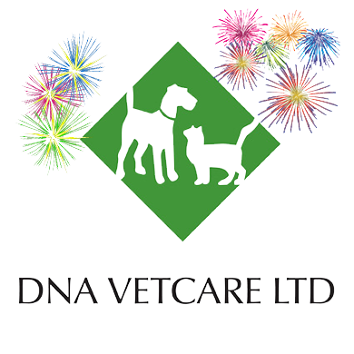 Fireworks Safety Tips for Your Pet londonvets.wordpress.com/2019/11/01/fir…