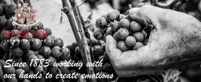 TwitItalianWine's tweet photo. Since 1883 working with our hands to create emotion. @massuccowine https://t.co/caqLZrfBBt