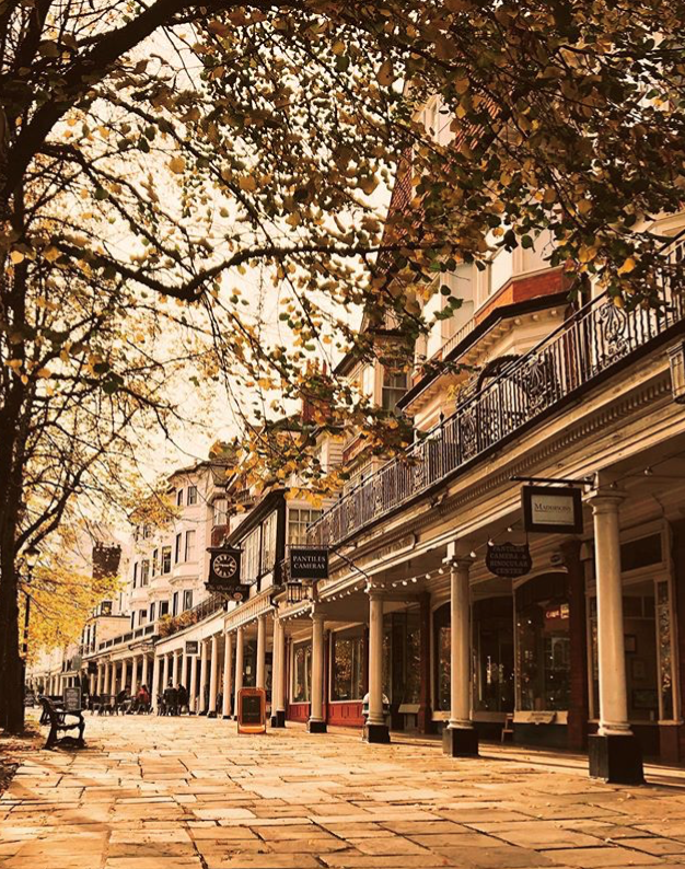 ThePantiles's tweet photo. We just can't get enough of The Pantiles in autumn! 😍🍂

Another gorgeous snap, this time from @emilyclbr.

#ThePantiles #TunbridgeWells #Kent #FridayFeeling #Photography @VisitKent @VisitEngland https://t.co/JvF9r0Stvp