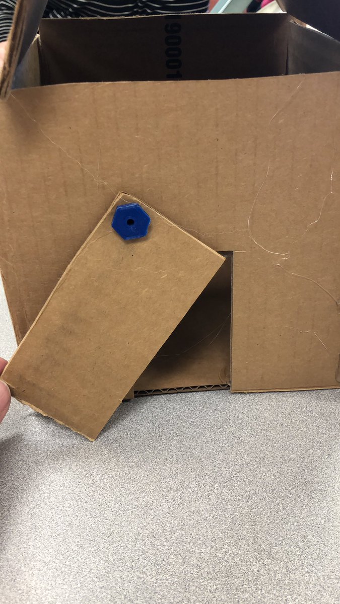 MeagenAndrew's tweet image. Building a house out of cardboard with a futuristic door! #mcsdtech