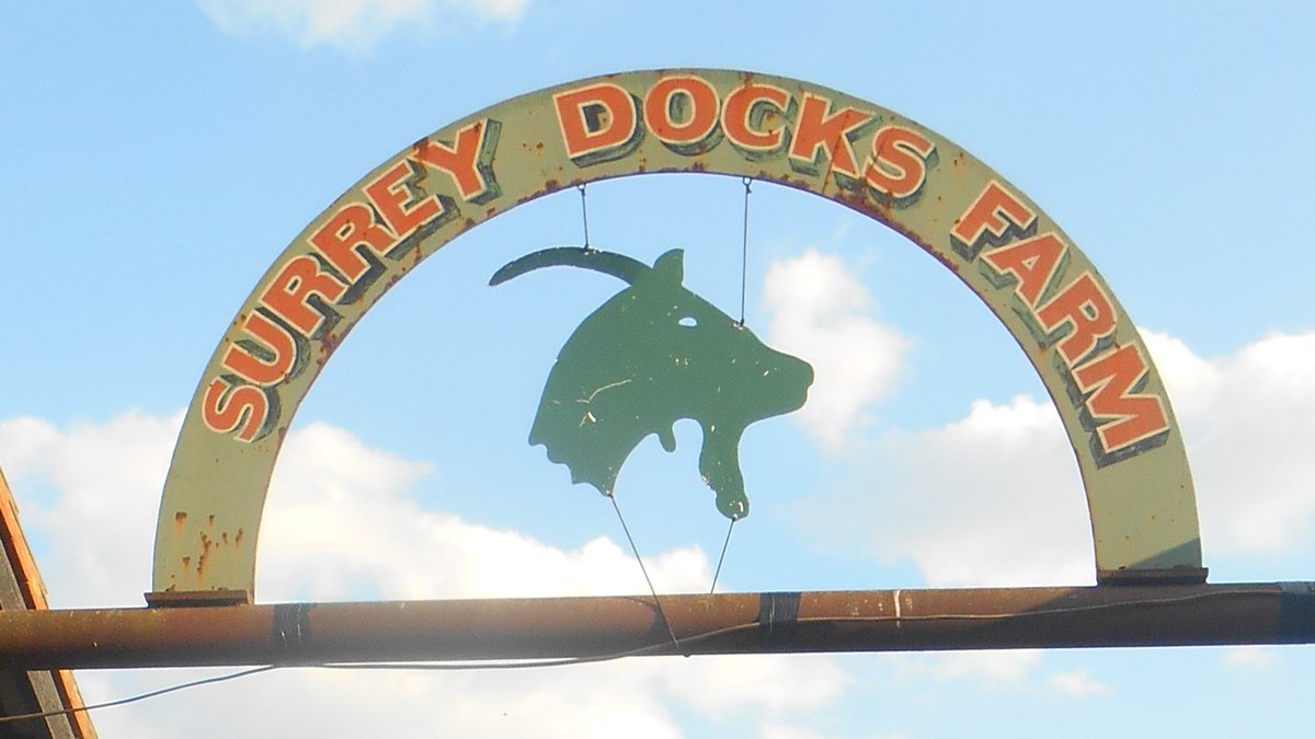 Covering the ongoing running costs of the Farm on a very tight budget is not easy. Our PAT testing is due and this will mean hundreds of pounds spent on essential testing rather than community activities. 
Are there any companies who might be able to help with this work for free?