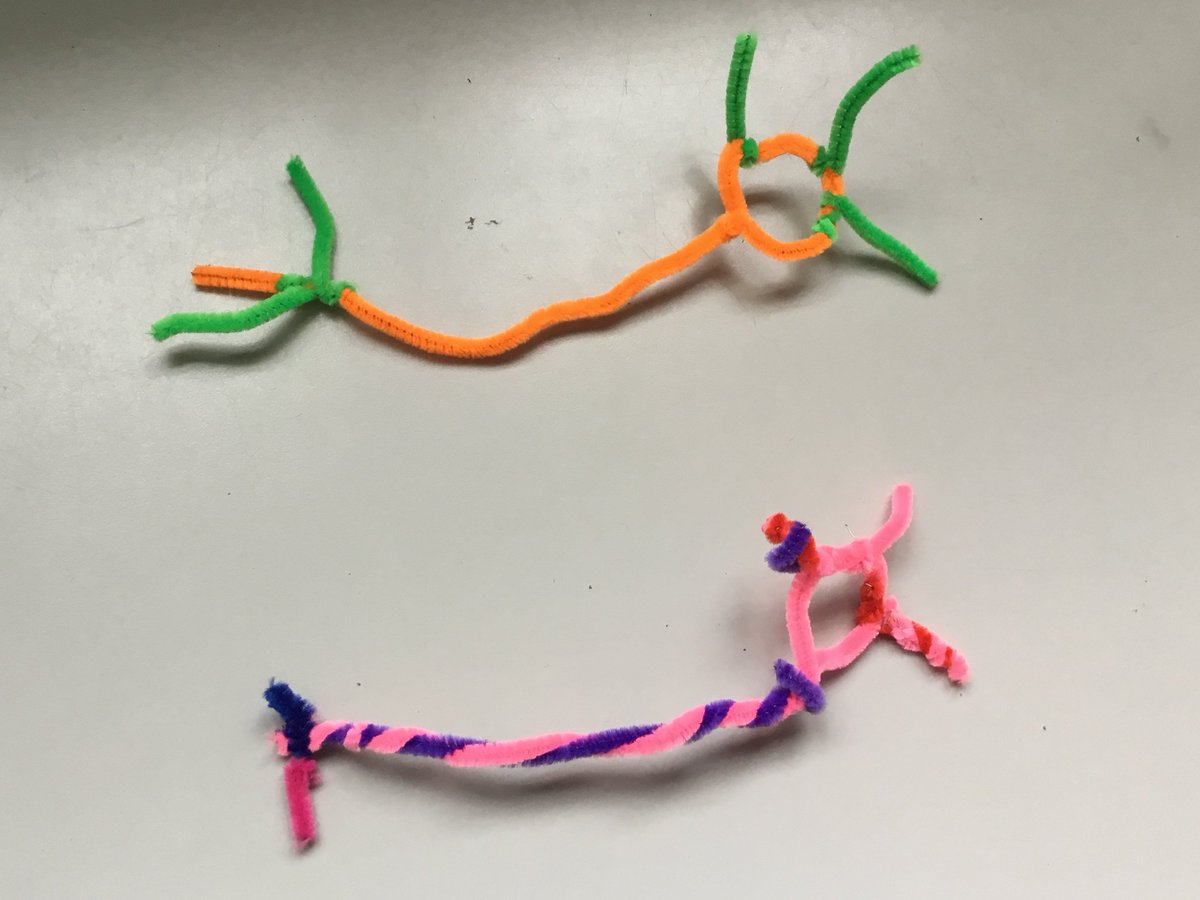 PhilippeLewis1's tweet photo. We had fun in the Engine Room building a brain with pipe cleaners. We started by making individual neurons then wired all of them together. The more connections we made, the 'stronger' our brain became. #growthmindset  @sevensisterssch @StrongerBrains @Evolve_Impact @pertslab https://t.co/UsKdWn9lSf