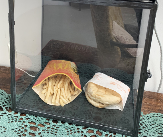 Drew Mingl  🏛💻📊🏜️ tweet media