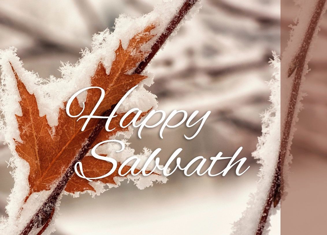 E_G_WHITE's tweet photo. Because He had rested upon the Sabbath, “God blessed the seventh day, &amp; sanctified it,”—set it apart to a holy use. He gave it to Adam as a day of rest. It was a memorial of the work of creation, &amp; thus a sign of God’s power &amp; His love.... 
{DA 281.2} https://t.co/Jhp7KbbH0W