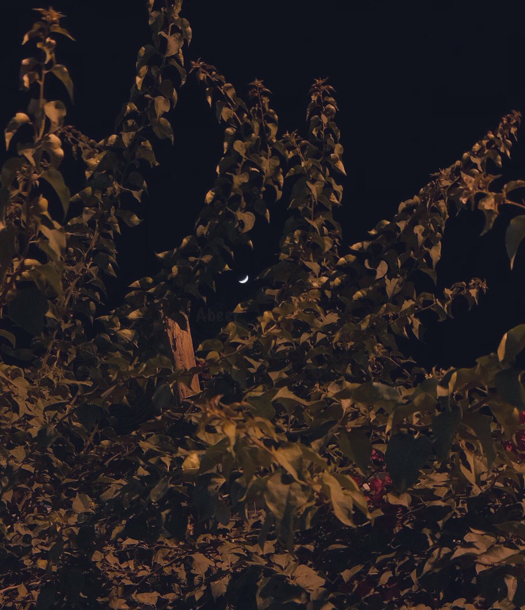 ___e2i's tweet image. ضوء القمر . . في ليلة صافيـة . . ♡