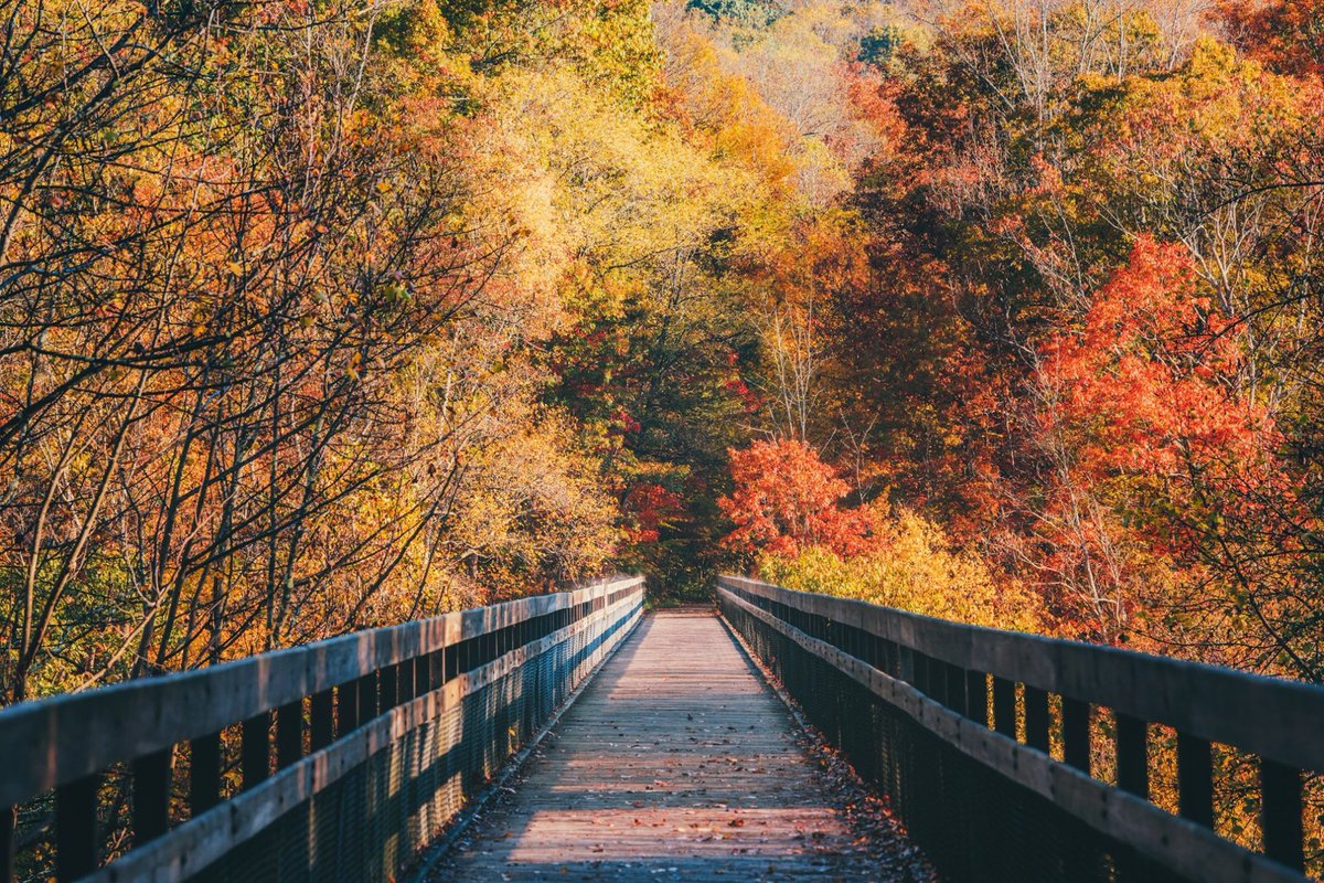 DaveDiCello's tweet photo. The bridge along the Great Allegheny Passage that crosses the Youghiogheny River just outside of #Ohiopyle looked like a painting last week. The fall colors were catching the morning light as steam rose from the railing making for an absolutely gorgeous scene. https://t.co/LoVBiafQ4Y