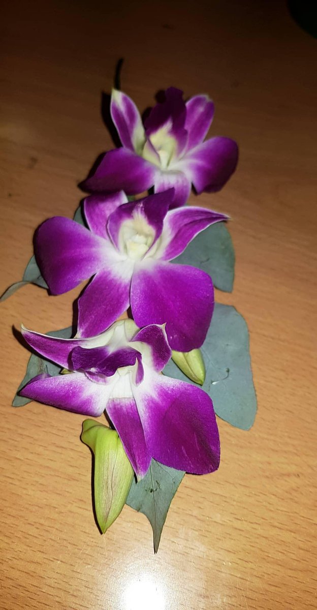 MegziPearlsltd's tweet photo. Wired Orchids Corsage using wire and tape 😍
#level2deploma #floristry #capelmanor #socent #florist #london #workshops #corporate #community brand Megzi Pearls 💐 https://t.co/mmySDTlepe