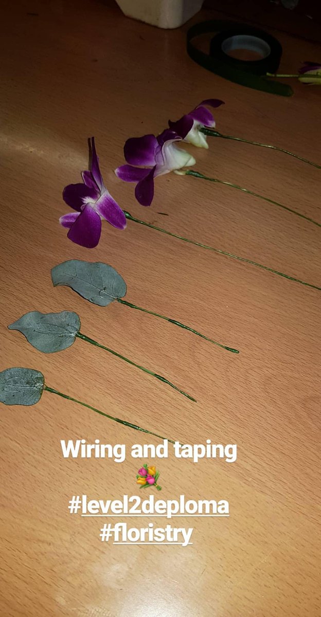 MegziPearlsltd's tweet photo. Wired Orchids Corsage using wire and tape 😍
#level2deploma #floristry #capelmanor #socent #florist #london #workshops #corporate #community brand Megzi Pearls 💐 https://t.co/mmySDTlepe