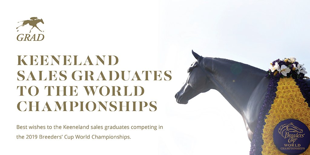 keenelandsales's tweet photo. #Keeneland Sales Graduates Early Favorites In Seven @BreedersCup Stakes. Read story → https://t.co/RjqBpx4eXb #KeeGrads https://t.co/eQO4pLqNtD