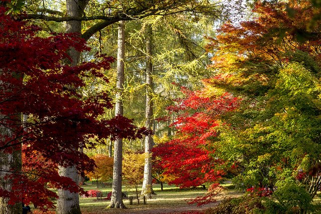 theGreatWestWay's tweet photo. We think the #GreatWestWay looks wonderful in #Autumn - don't you agree?

Where's your favourite place to kick up leaves and admire the colours of Autumn along the way? https://t.co/CAPNtCLgOo