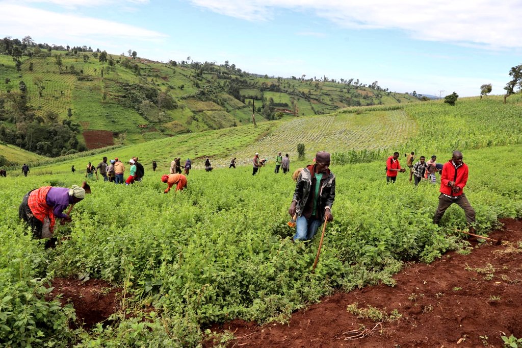 GideonNgumbau's tweet photo. Unbelievable Carnage and Rapacious Destruction of Mau Forest. Silly Politicians as usual fanning ethnic diatribe. Is there a special community entitled to Damaging the Environment with Impunity ?  

#SaveMauNow https://t.co/UbPAi0Uq51