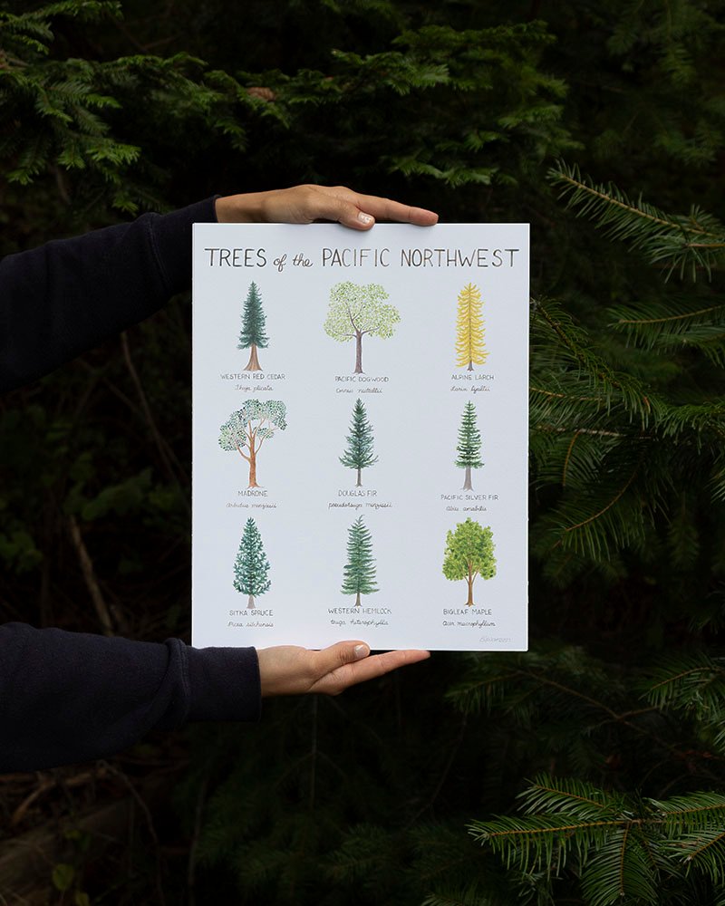USGCA's tweet photo. We’re kicking off November by welcoming one of our newest GCA members – Yardia! 🎉🎉🎉 Created by Brigida Swanson, Yardia features cards + gifts inspired by the beauty of the Pacific Northwest.🍂🌳🍁🍃  Welcome Brigida &amp; Yardia! #FeatureFriday #GCAMember https://t.co/L86piPNnK4