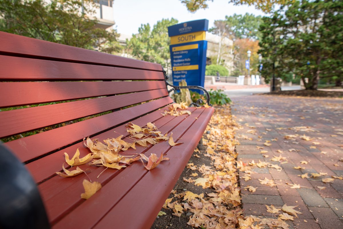 Hofstra University tweet media