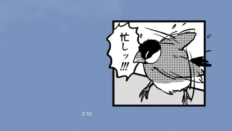 やっぱこっち!
#一コマ文鳥 #文鳥 