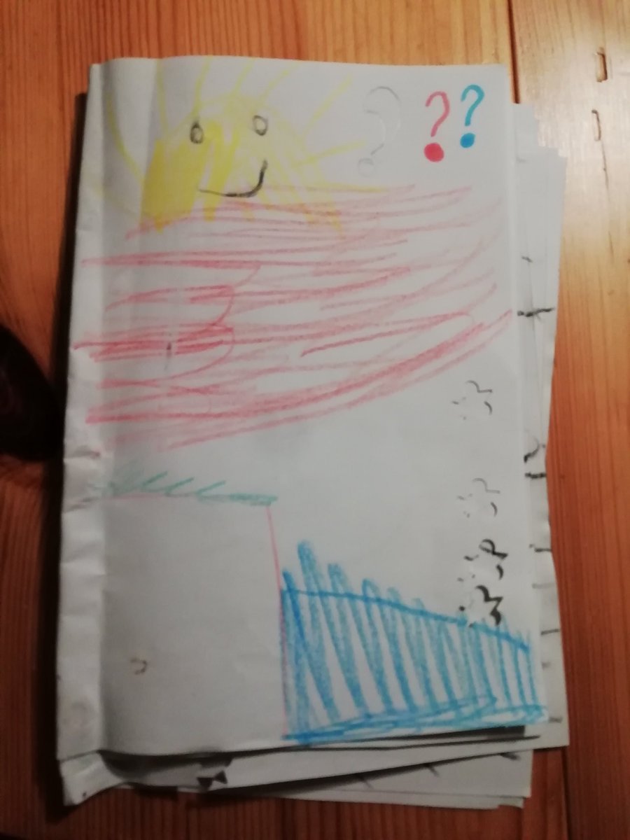 Endlich ist es da: das neueste Buch von #diedreifragezeichen. Autorin: Töchterchen (6)