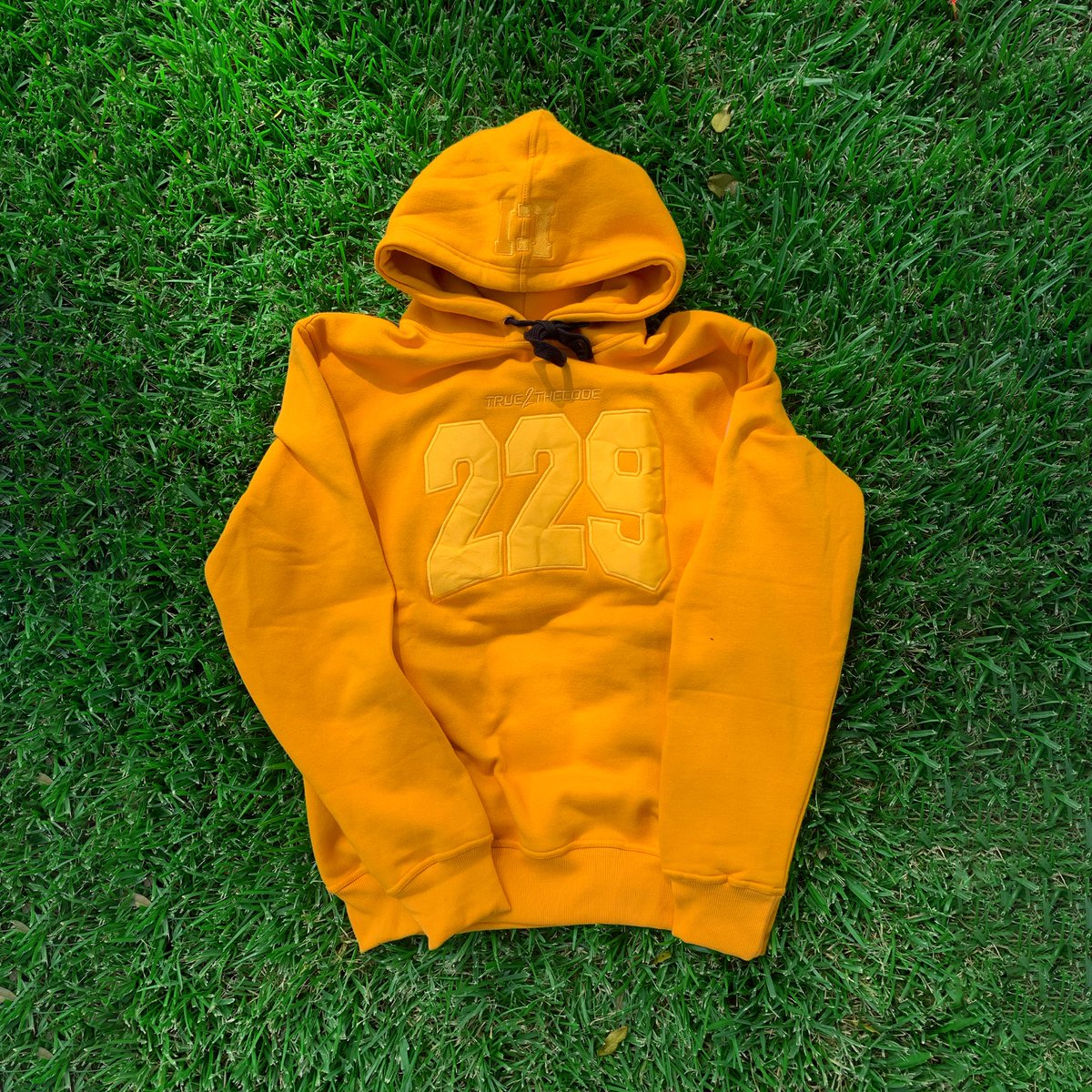 truetothecode's tweet image. True2thecode.com $35 preorder. Last week #True2theCode #229 #229made