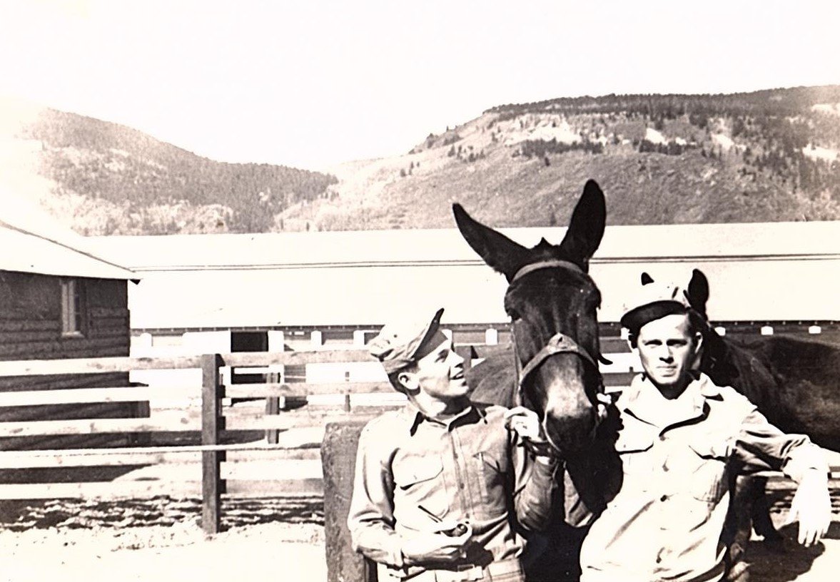 #FlashbackFriday to Camp Hale c. 1943 where the #10thMountainDivision trained.

The initial population of #CampHale included 15,000 soldiers; 3,000 admin, medical & other non-skiing staff, 5,000 mules & 200 dogs. Dogs served as messengers, pulled sleds and performed other duties.