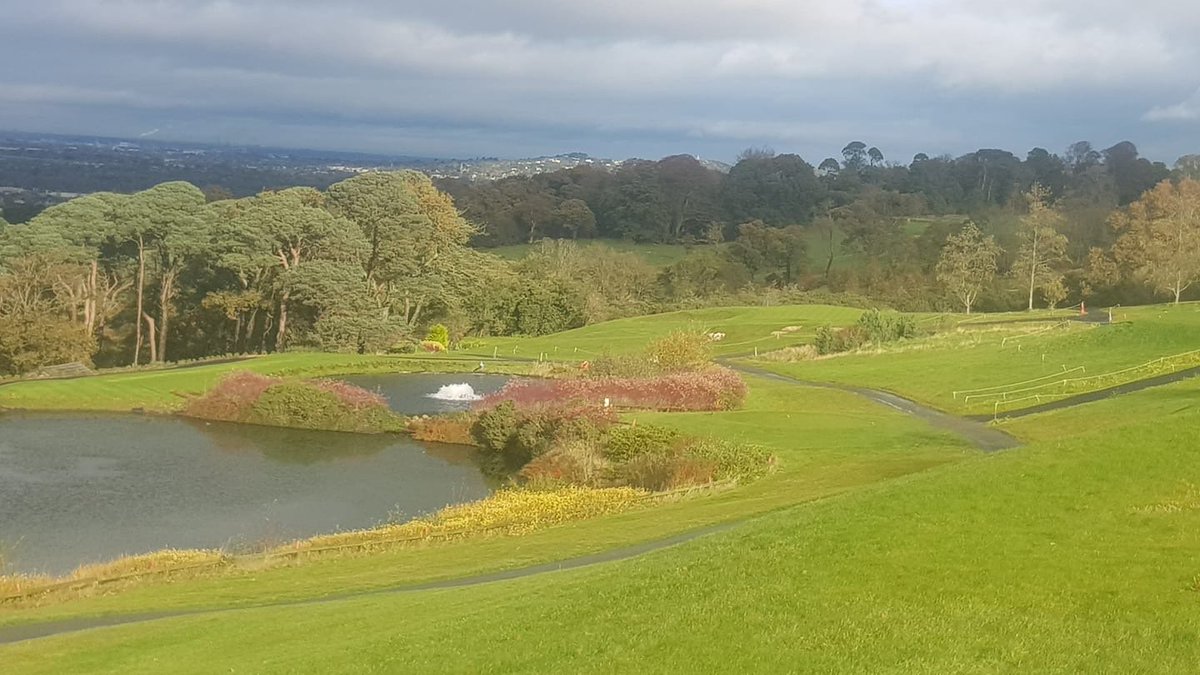 Bray Golf Club tweet media