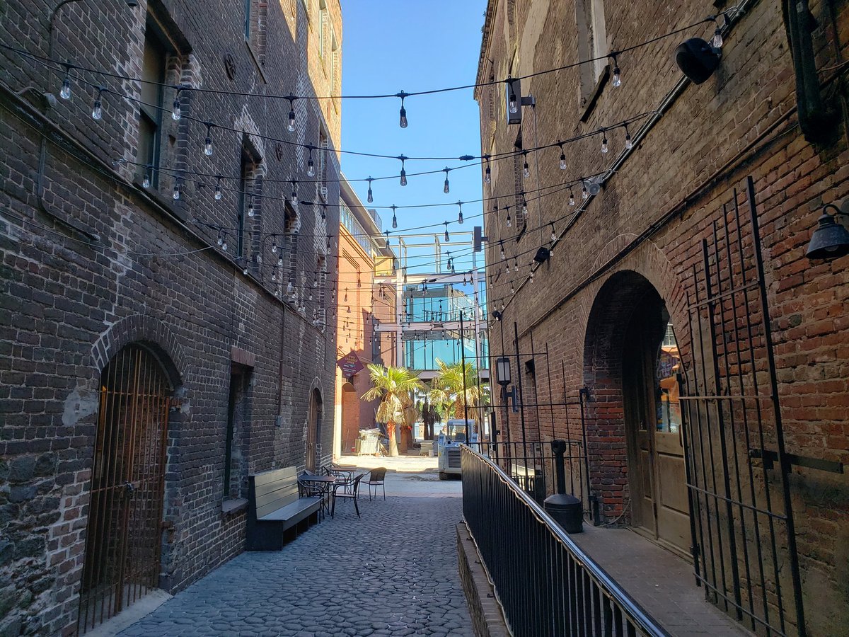 WhitneyNeilson's tweet photo. Hi from Savannah. https://t.co/w5q2i4QEm5