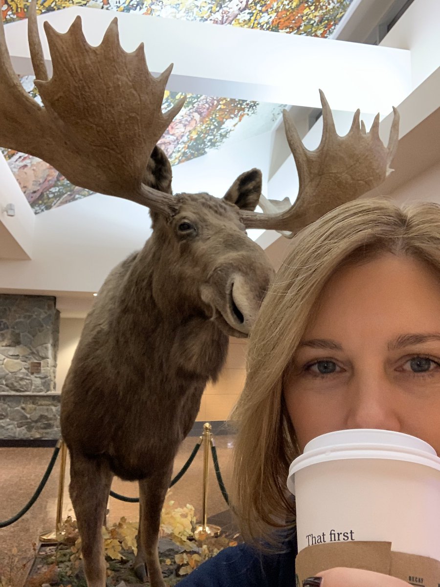 AlaskanHolly's tweet photo. @amasummit On my way! Early morning flight to #Vegas for #amaregional amaregional. Running on adrenaline &amp; caffeine but super excited! https://t.co/UxKsWOR2Fr