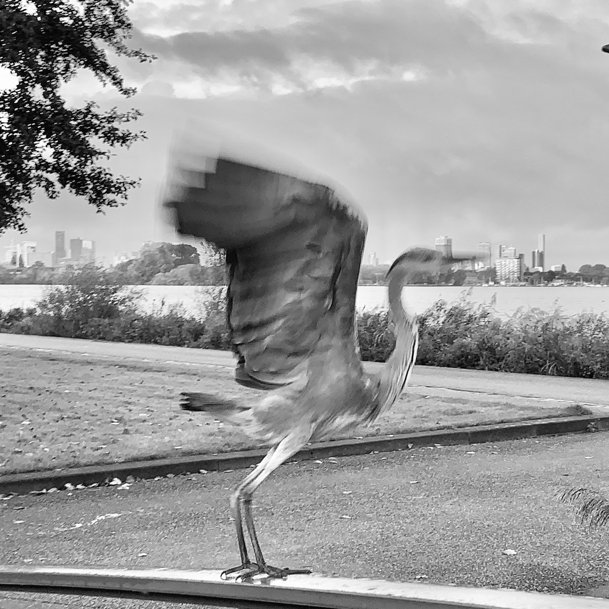 mikebeen's tweet photo. #Rotterdam #skyline
#reigert https://t.co/FAK7UC5AHT