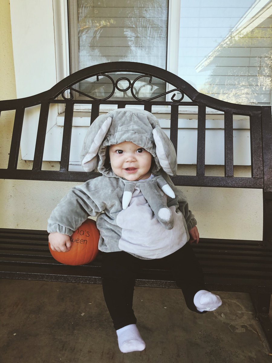 ogbreezyx's tweet photo. our first halloween together , love you always 🐘💗 https://t.co/UHoJHhSUSc