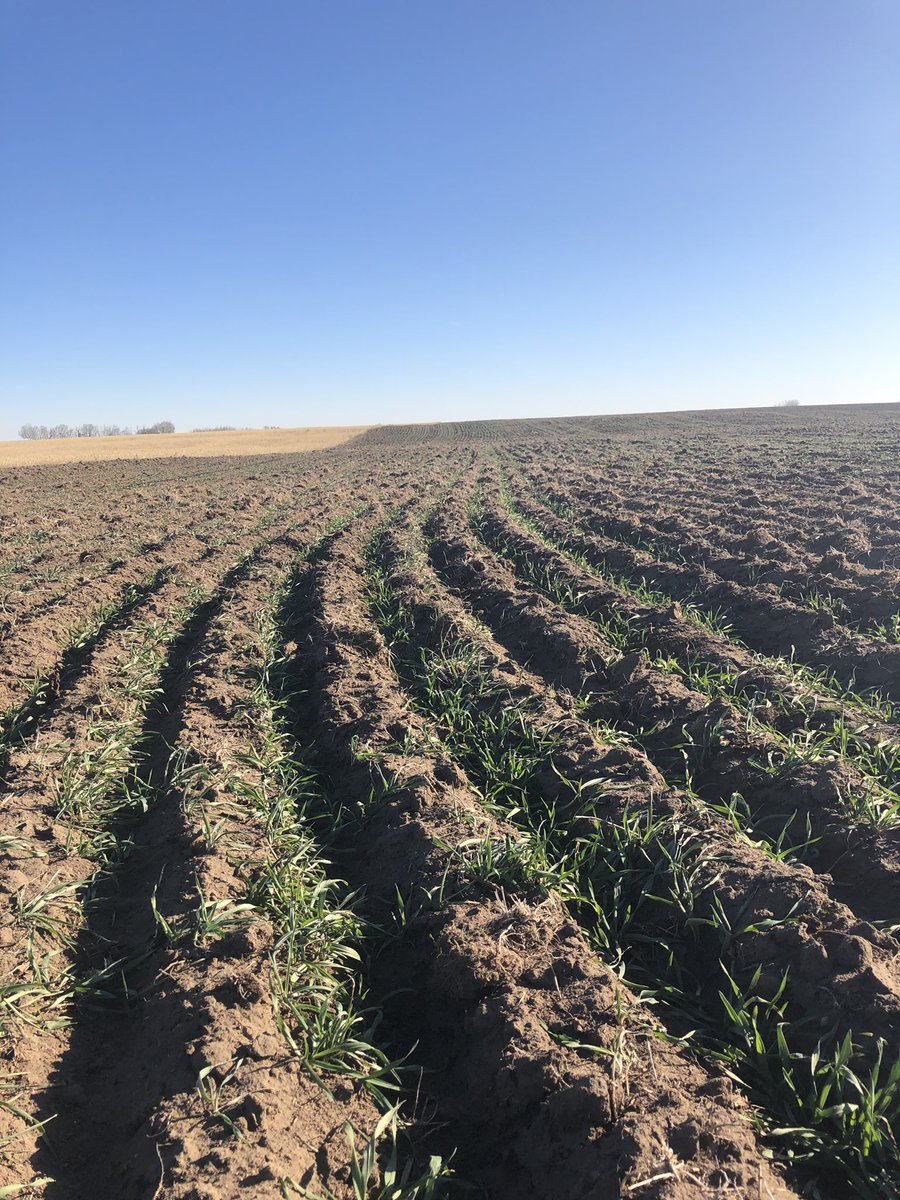 Julia Vold tweet media