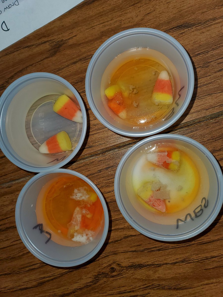 FinkErin's tweet photo. Candy Corn Investigations are perfect for the day after Halloween!!! Firsties making lots of observations!! @RenoElementary https://t.co/Th2a9N82RZ
