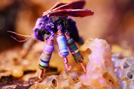 HANnl's tweet image. Woensdag start het internationaal filmfestival InScience in Nijmegen. Naar welke onderzoeksfilm ga jij? bit.ly/325sV9S
#InScience #GMO #onderzoek #Nijmegen #LUX