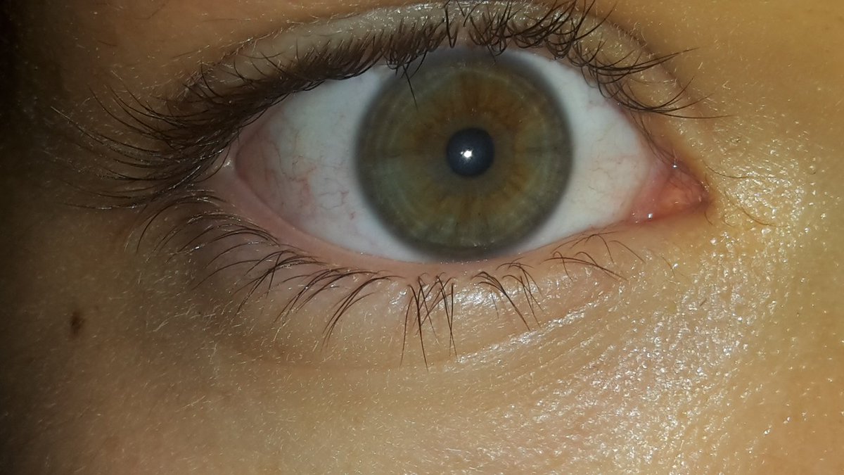 Martyanbibi's tweet photo. On my identity card it's written: "brown eyes"
My friends say I have green eyes.
I had blue eyes when I was younger...
What's wrong with me!? 😂 https://t.co/AjDv5YgSge