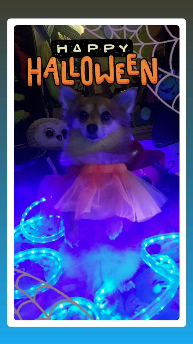 MsMastaFoXX LLC♌👽🖖🌋🕉🔑7-FigBizOwner💰👑🌊💜☯️ tweet media