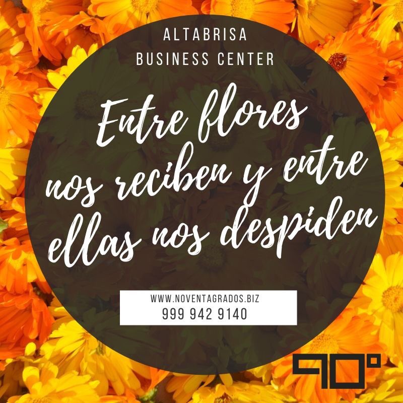 NoventaGrados_'s tweet photo. Mientras vivos estemos, te invitamos a visitar nuestras Oficinas con todos los servicios
Ven, el éxito está en... #90grados #BusinessCenter #altabrisa #oficinasenrenta #saladejuntas #salondecapacitación #Mérida #Yucatán 
🌐 https://t.co/9ADFWeikGm
📞 Llamar 01 999 942 9140 https://t.co/hMgMTRdoh8