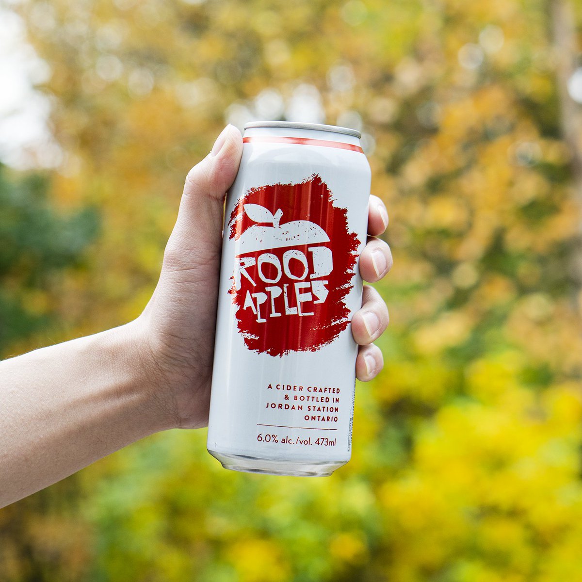 RoodApples's tweet photo. Cheers to the weekend, friends! Our cans of Rood Apples are available at your local @LCBO. 🍻🍂 https://t.co/tKDFz6xCIv