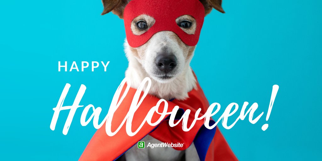 AgentWebsite's tweet image. Boo! #happyhalloween #betterlatethannever